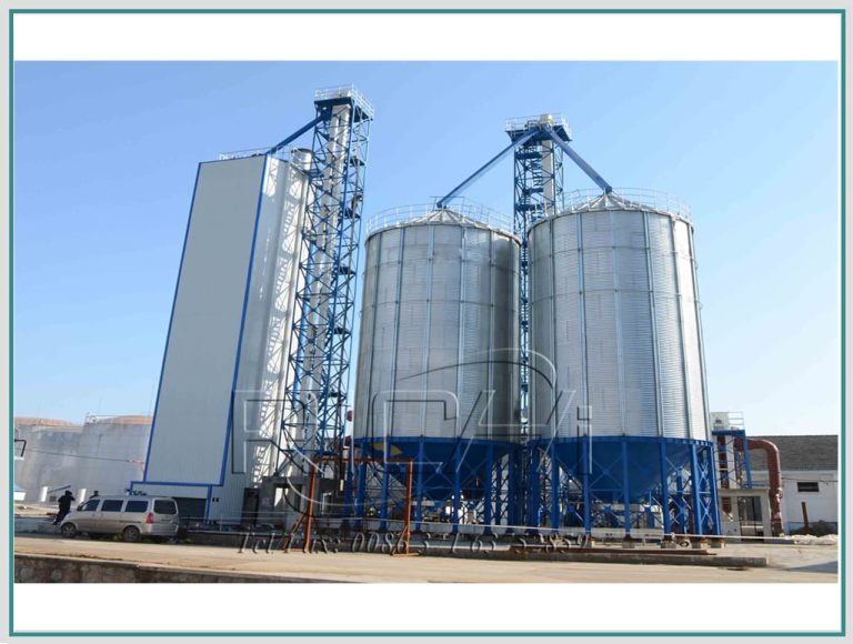 How Much Beginning Poultry Feed Production Cost ?