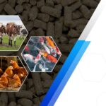 Livestock Feed Pellet Machine