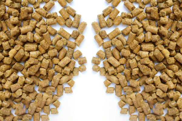 animal feed pellets