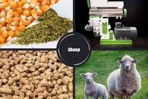 Goat Feed Pellet Making Machine