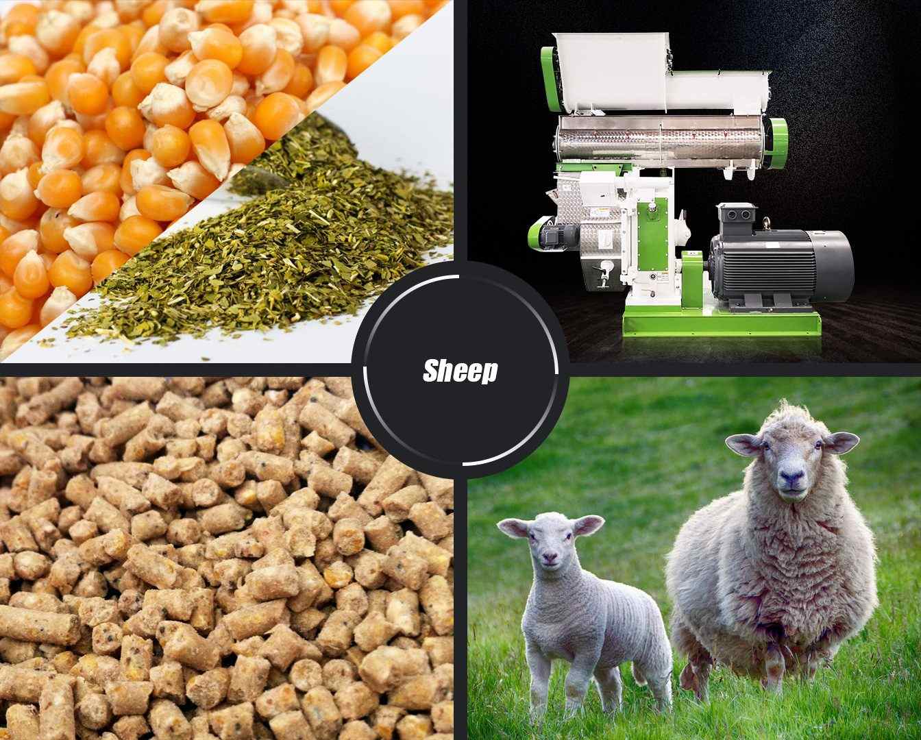 Goat Feed Pellet Making Machine