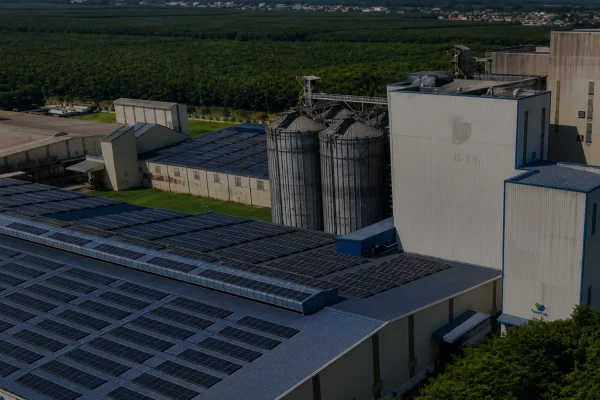 Aerial view of large scale poultry and livestock feed production line, complete feed mill factory for pig feed and chicken feed production